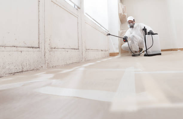 24/7 Emergency Black Mold Remediation experts in Bath, MI