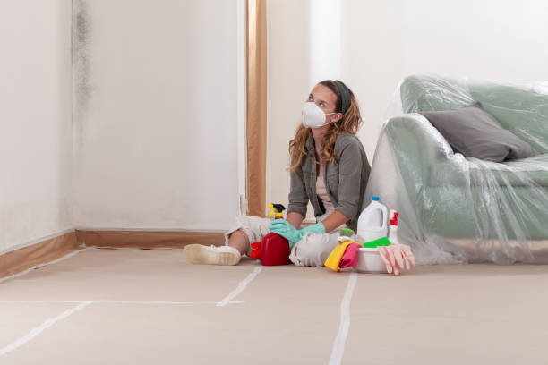 Reliable Black Mold Remediation contractor in Bath, MI by Mold Remediation HQ